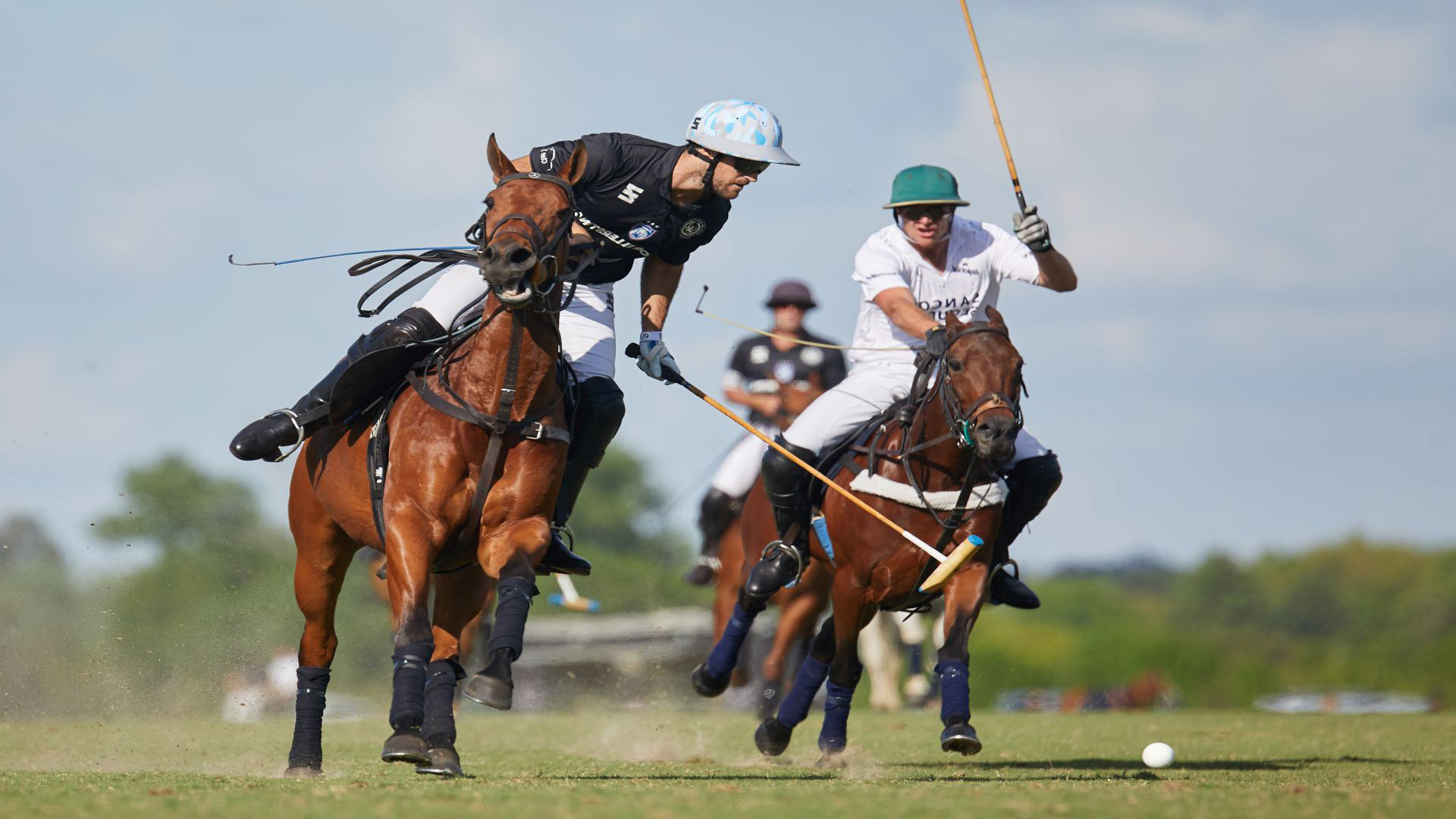polo argentine